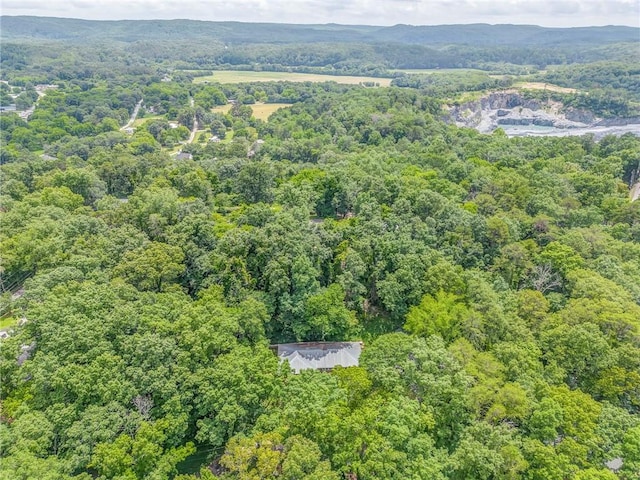 103 White Cir, Rockmart, GA 30153 - drone / aerial view of a forest