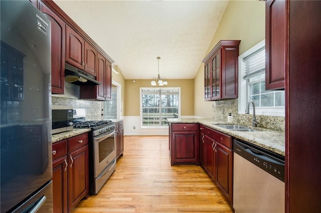 kitchen with light wood-style flooring, under cabinet range hood, a sink, dark brown cabinets, and appliances with stainless steel finishes