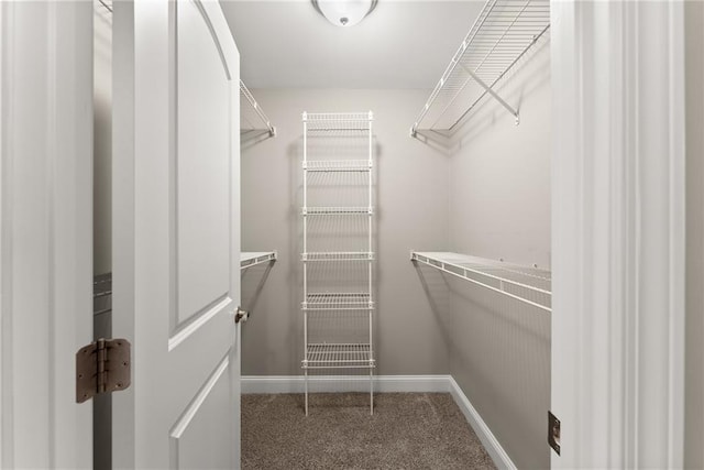 4635 Dawsonville Hwy, Gainesville, GA 30506 - spacious closet with carpet flooring