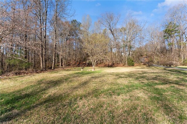 4635 Dawsonville Hwy, Gainesville, GA 30506 - view of yard