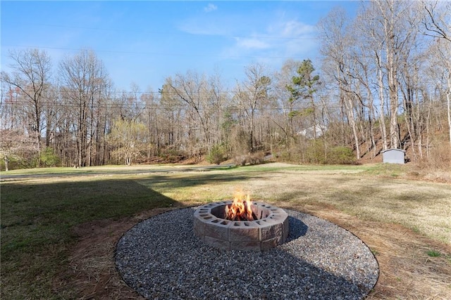 4635 Dawsonville Hwy, Gainesville, GA 30506 - view of yard with an outdoor fire pit