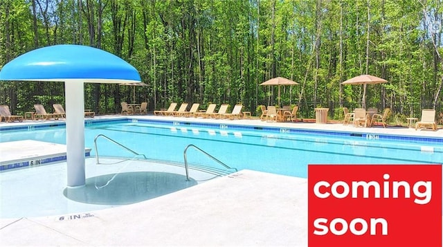 1316 Village Brook Dr, Dacula, GA 30019 - community pool featuring a forest view