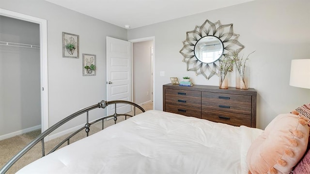 1316 Village Brook Dr, Dacula, GA 30019 - bedroom with carpet floors and a closet