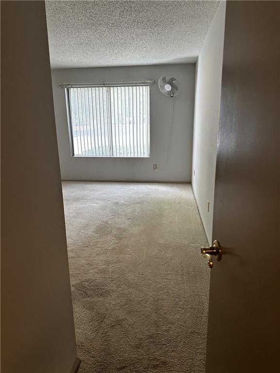 carpeted empty room featuring a textured ceiling