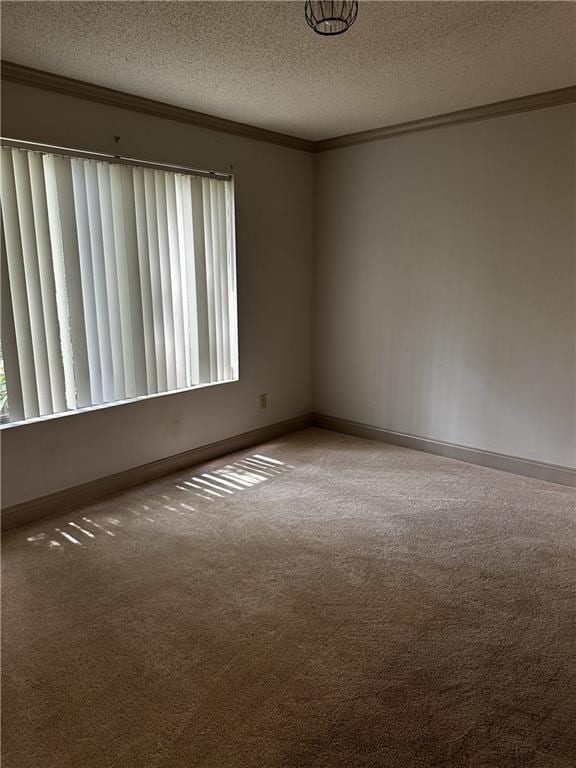 carpeted spare room with a textured ceiling, crown molding, and a healthy amount of sunlight