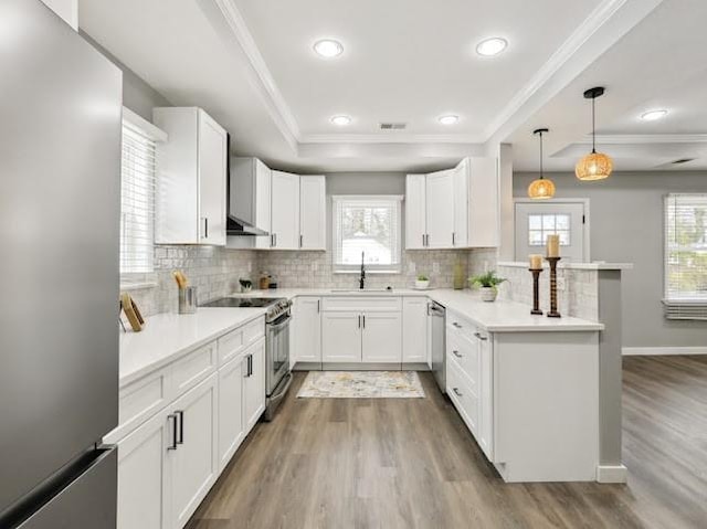 kitchen featuring ornamental molding, a sink, stainless steel appliances, a peninsula, and a raised ceiling