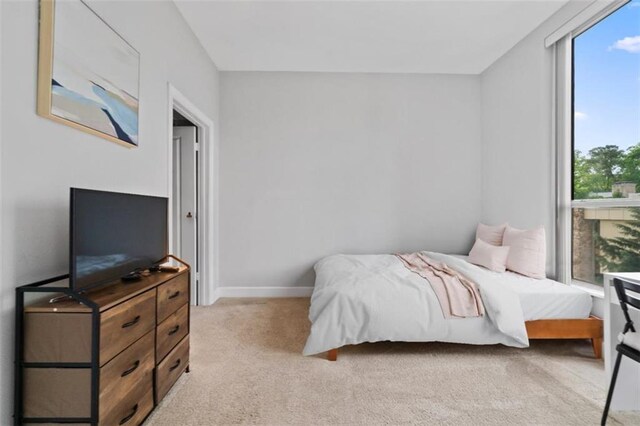 2626 Peachtree Rd NW Unit 606, Atlanta, GA 30305 - bedroom featuring baseboards and light carpet