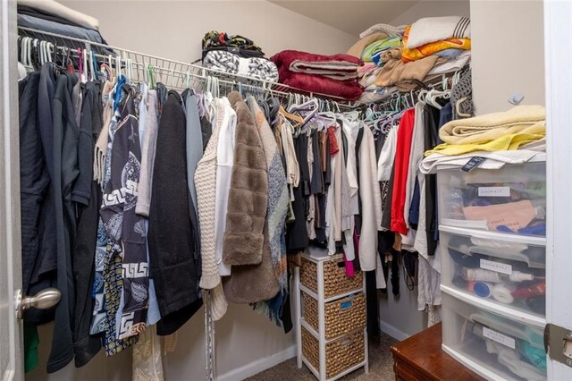 spacious closet with carpet