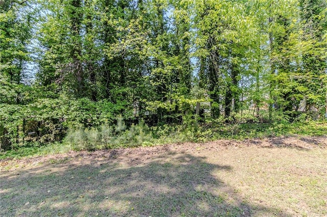 738 Laverne Dr NW, Atlanta, GA 30318 - view of landscape
