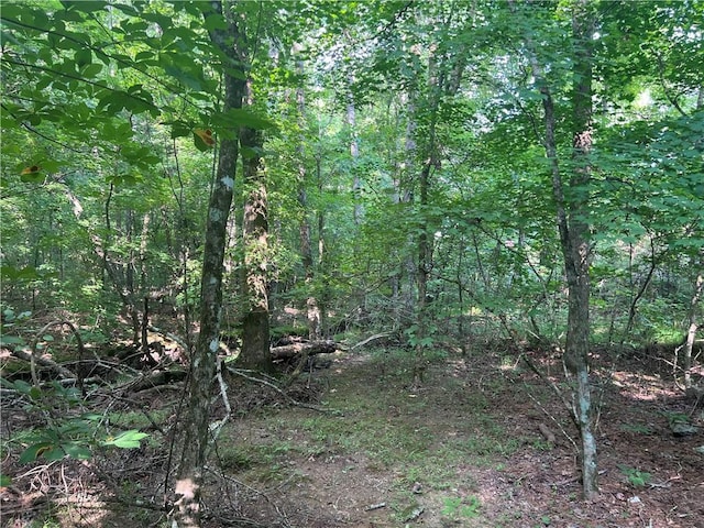 Listing photo 3 for 0 Nicklesville Rd, Ranger GA 30734