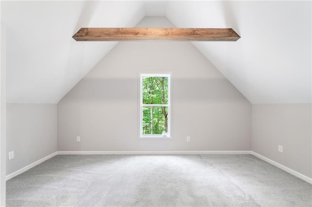 4189 Tamarack Dr, Jasper, GA 30143 - additional living space featuring carpet and baseboards