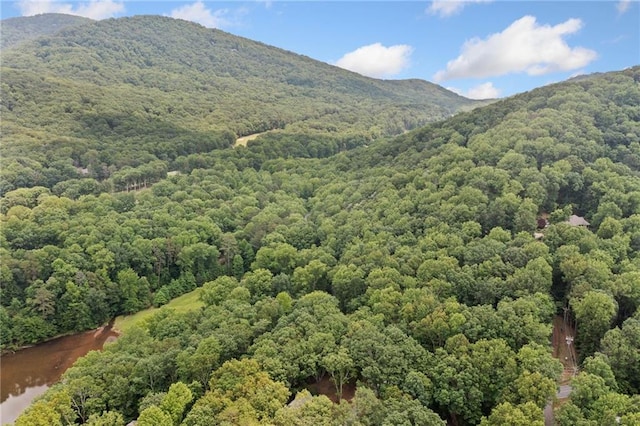 4189 Tamarack Dr, Jasper, GA 30143 - view of mountain backdrop with a heavily wooded area