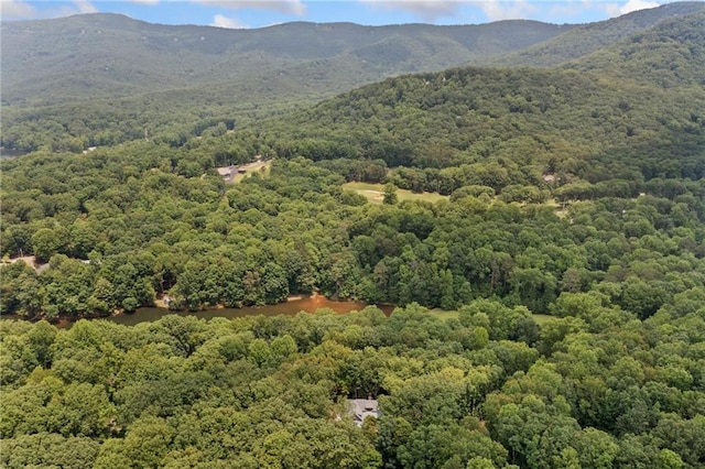 4189 Tamarack Dr, Jasper, GA 30143 - bird's eye view of a heavily wooded area and a water and mountain view