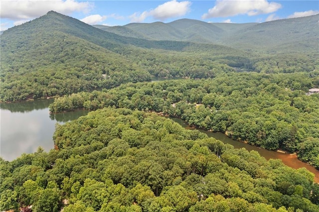 4189 Tamarack Dr, Jasper, GA 30143 - mountain view with a forest and a nearby body of water