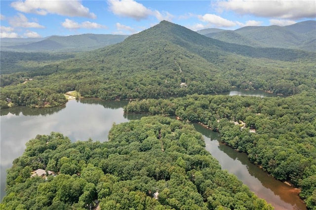 4189 Tamarack Dr, Jasper, GA 30143 - bird's eye view of a forest and a water and mountain view