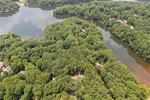 4189 Tamarack Dr, Jasper, GA 30143 - view of property location with a large body of water and a heavily wooded area