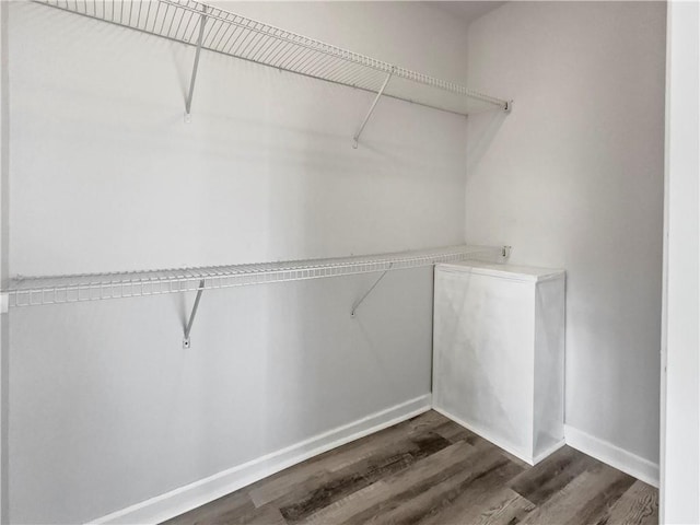 walk in closet with dark hardwood / wood-style flooring