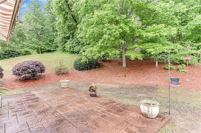 4460 Delano Dr, Cumming, GA 30040 - view of yard with a patio area