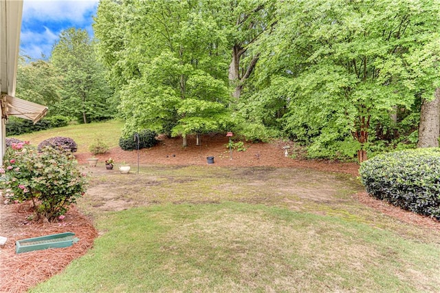 4460 Delano Dr, Cumming, GA 30040 - view of grassy yard