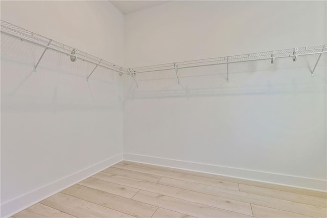 spacious closet featuring light wood-type flooring