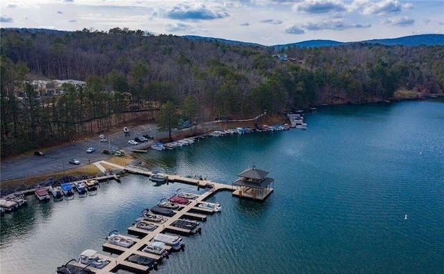 aerial view featuring a wooded view and a water and mountain view