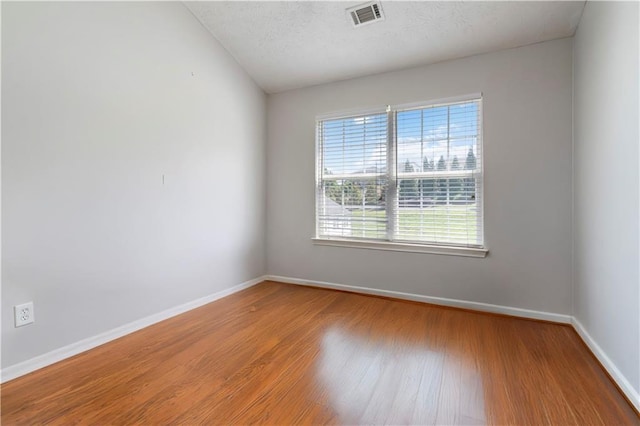 5351 Paramount View Way, Sugar Hill, GA 30518 - empty room featuring wood finished floors and a textured ceiling
