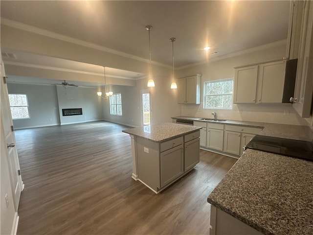 kitchen with a center island, a sink, wood finished floors, and a wealth of natural light