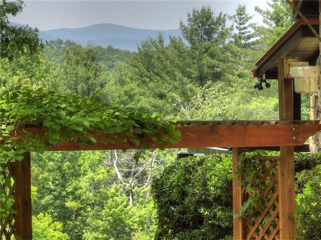 212 Dogpatch Ln, Blue Ridge, GA 30513 - exterior view of a heavily wooded area and a mountainous background