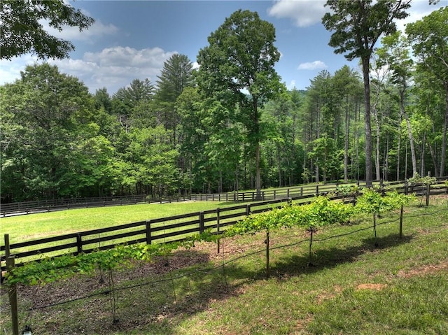 212 Dogpatch Ln, Blue Ridge, GA 30513 - view of yard with a wooded view and a view of countryside