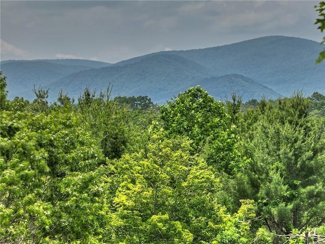 212 Dogpatch Ln, Blue Ridge, GA 30513 - view of mountain background
