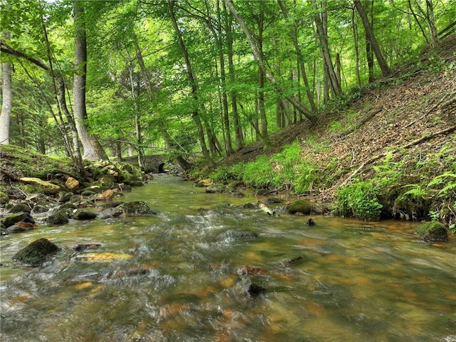 212 Dogpatch Ln, Blue Ridge, GA 30513 - view of wooded area