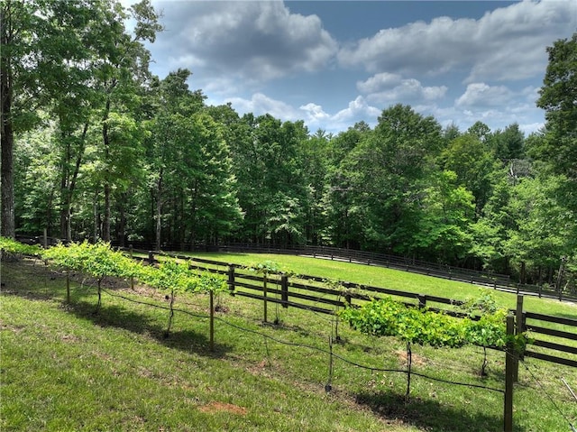 212 Dogpatch Ln, Blue Ridge, GA 30513 - view of yard featuring a wooded view and a view of countryside