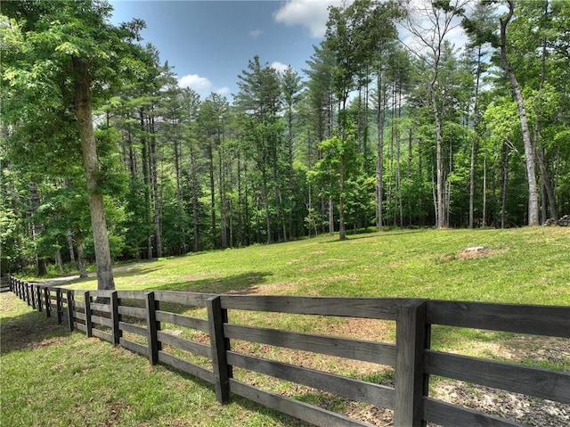 212 Dogpatch Ln, Blue Ridge, GA 30513 - view of yard featuring a forest view