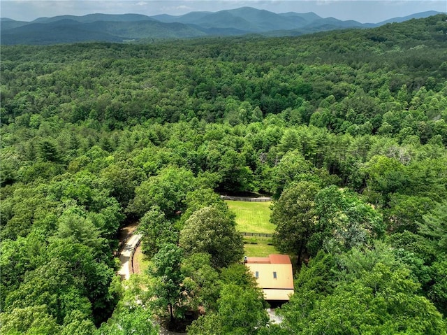 212 Dogpatch Ln, Blue Ridge, GA 30513 - bird's eye view of a heavily wooded area and mountains