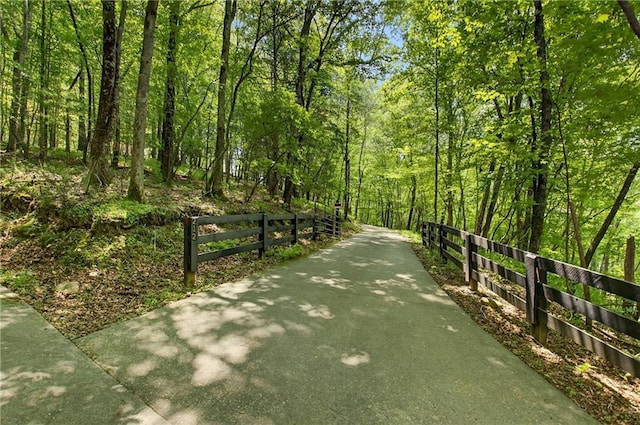 212 Dogpatch Ln, Blue Ridge, GA 30513 - view of home's community featuring a view of trees