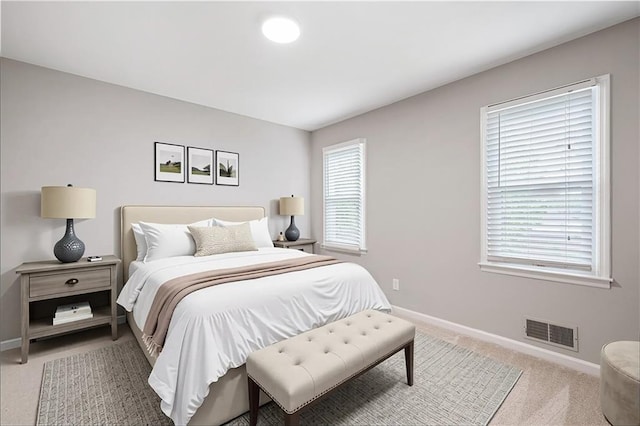 4497 Windsor Oaks Dr, Marietta, GA 30066 - bedroom with baseboards and light carpet