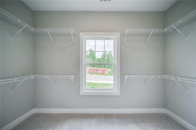 walk in closet with carpet flooring