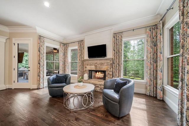 interior space with baseboards, a stone fireplace, a healthy amount of sunlight, and wood finished floors