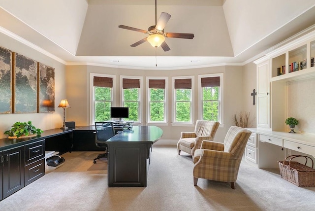 office space featuring a raised ceiling, a ceiling fan, and light colored carpet