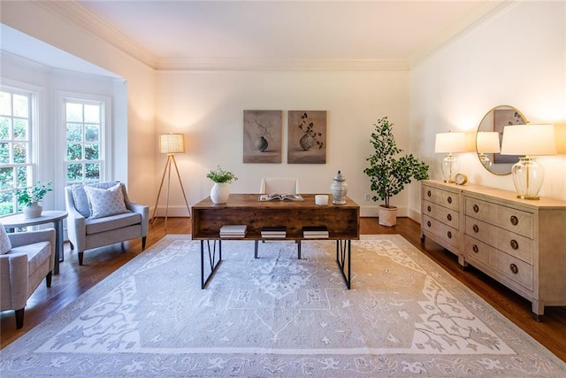 office featuring hardwood / wood-style floors and ornamental molding