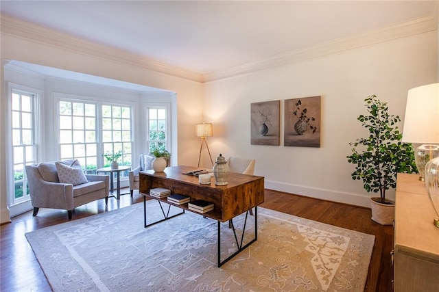 office area featuring dark hardwood / wood-style floors and ornamental molding