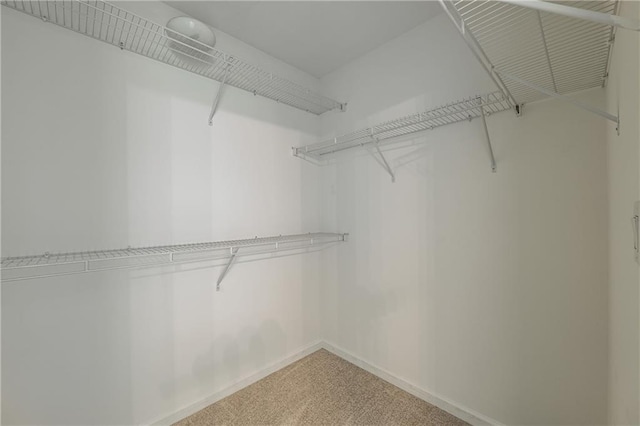 spacious closet with light colored carpet