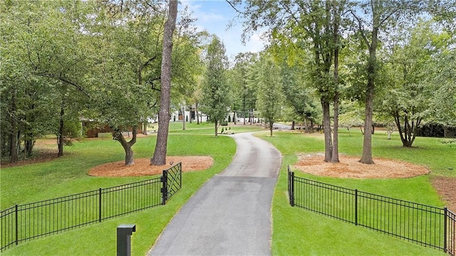 view of community featuring a lawn