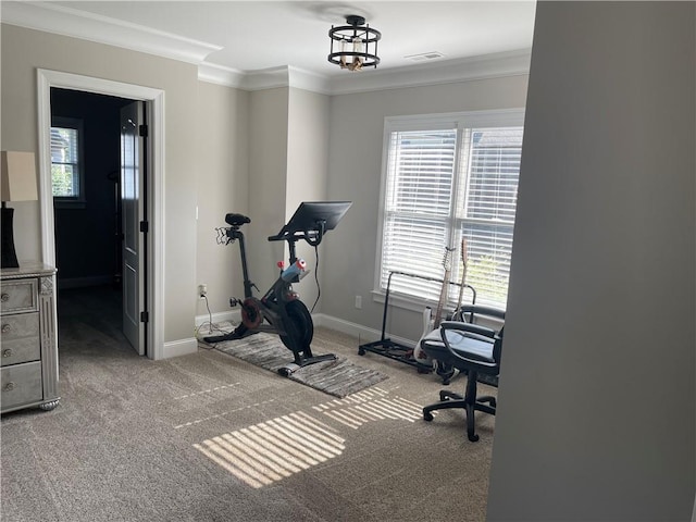 103 Mill Park Chase, Woodstock, GA 30188 - workout room with carpet floors and ornamental molding