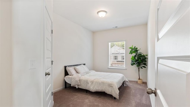 231 Malbone St SW, Cartersville, GA 30120 - carpeted bedroom with baseboards