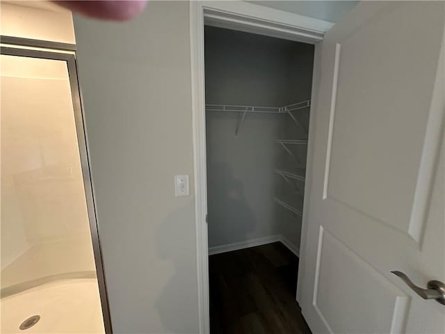 view of closet