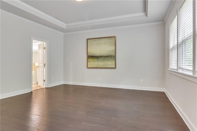 6179 Ashbranch Dr, Acworth, GA 30101 - unfurnished room featuring a raised ceiling, wood-type flooring, ornamental molding, and baseboards