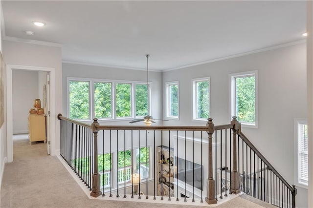 6179 Ashbranch Dr, Acworth, GA 30101 - hall with carpet flooring, crown molding, baseboards, and recessed lighting
