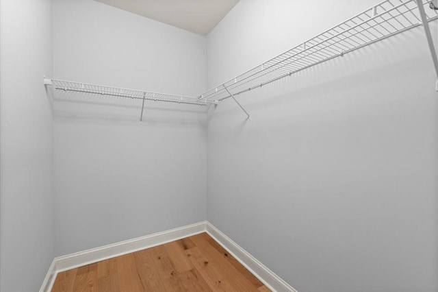 spacious closet featuring light wood-style flooring