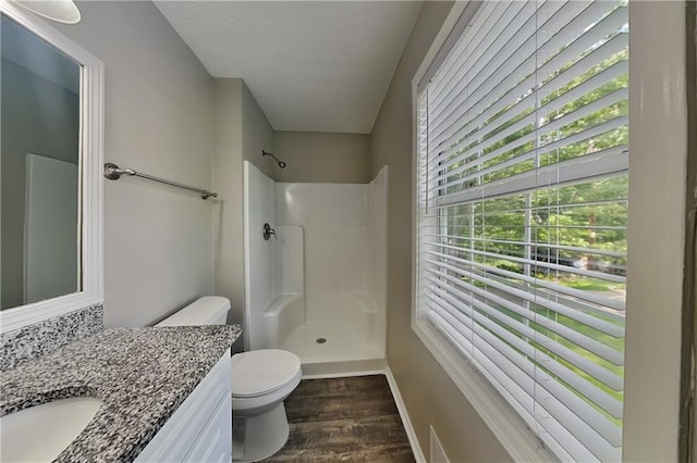 1011 Darvin Ln NW, Kennesaw, GA 30144 - bathroom featuring a shower, vanity, and wood finished floors